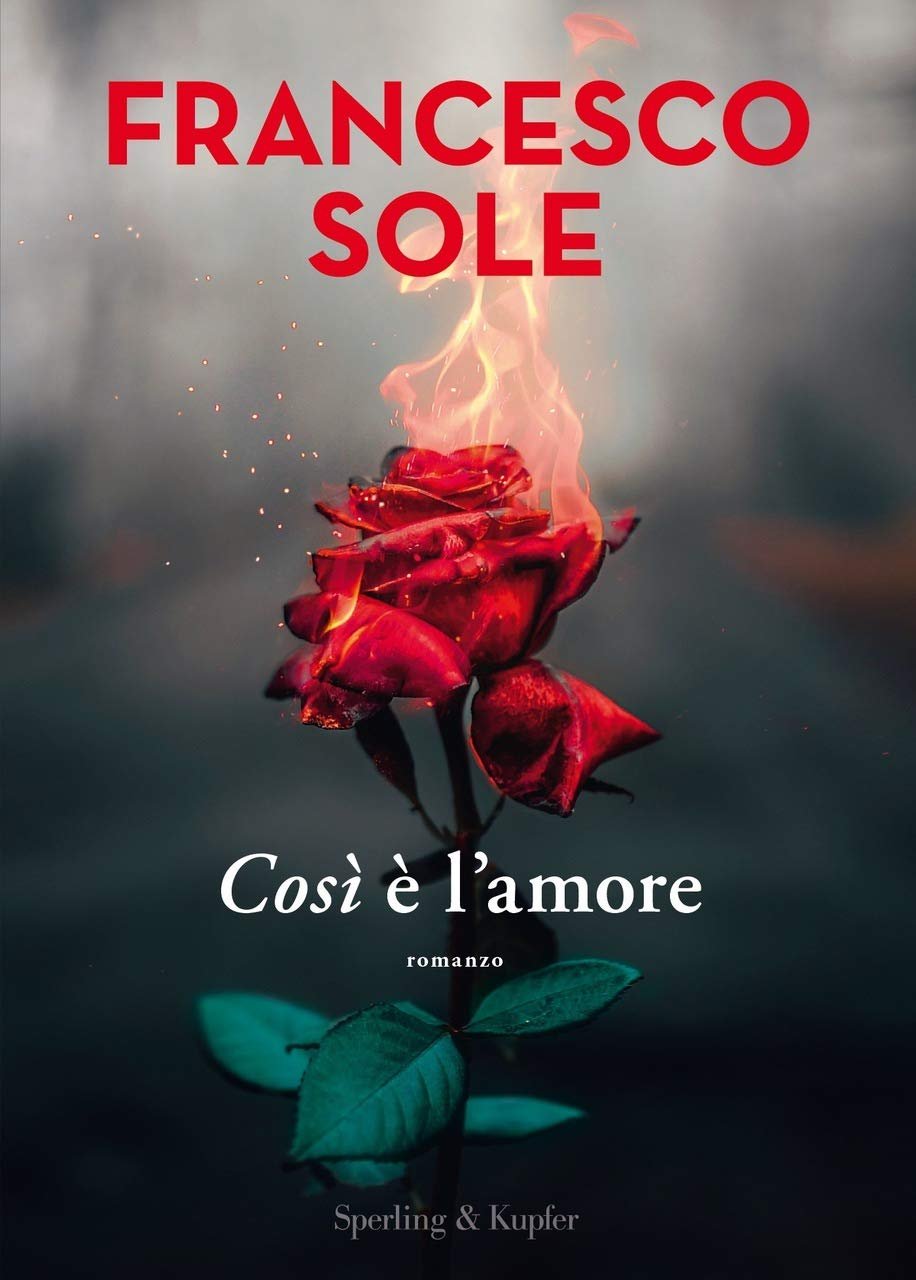 francescosolenarrativacosielamorelefrasipiubelledeilibri